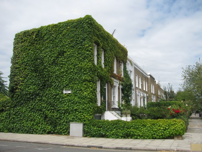 Ivy overgrown house II, London 