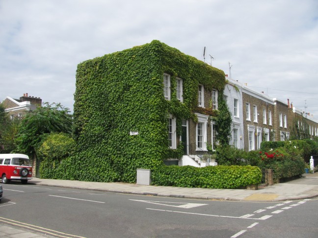 Ivy overgrown house, London